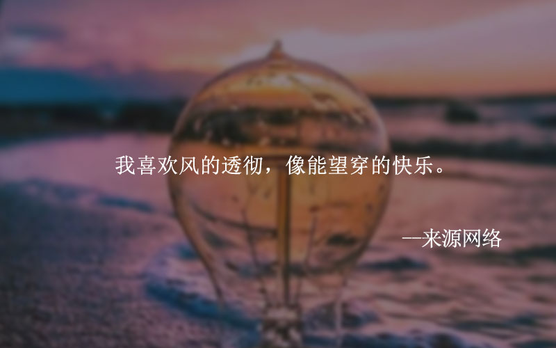 个人独资公司的利弊(个人独资企业的优缺点)